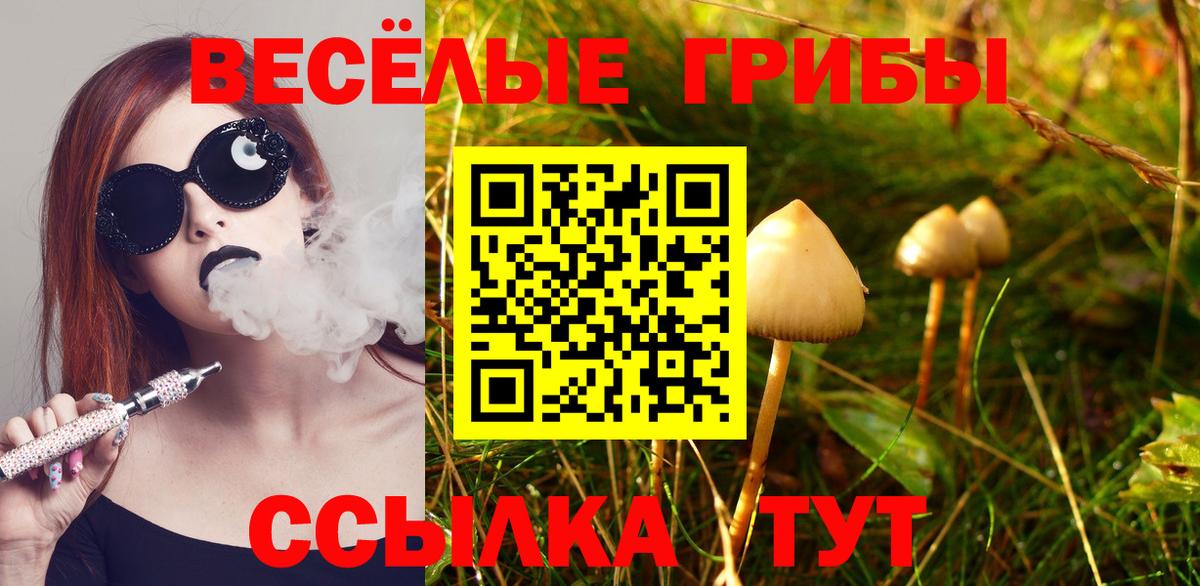 Междуреченск  Псилоцибиновые грибы Magic Shrooms  Вход с VPN 